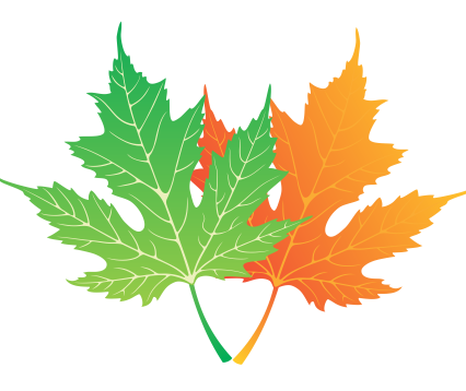 7 Oak Developers logo